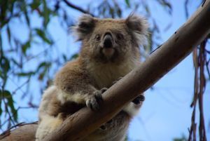 Documentation: Good for Work and Travel!